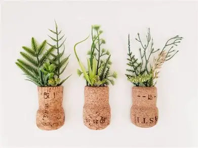 Cork Fridge Magnets (4 pack)